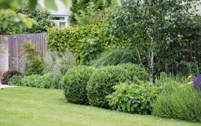 Design Tips for small gardens